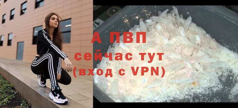 A PVP СК  Ишим 